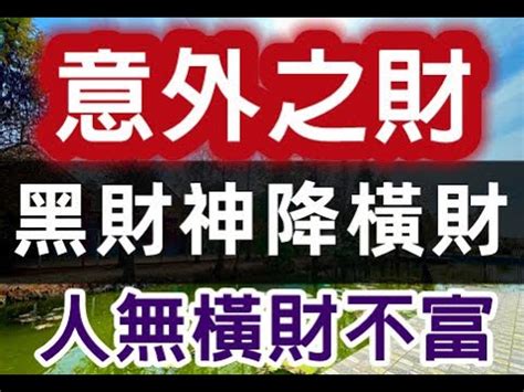 黑財神禁忌|黑財神功效：4大主題深入解析，讓你財運亨通